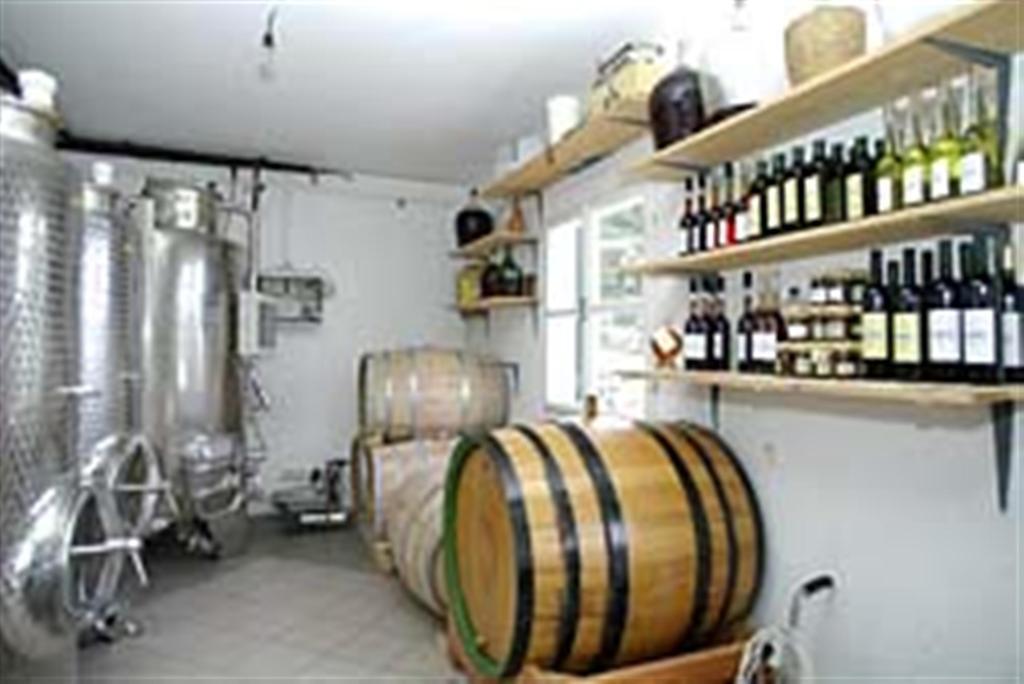 Apartament Winery Bačić Blato  Zewnętrze zdjęcie