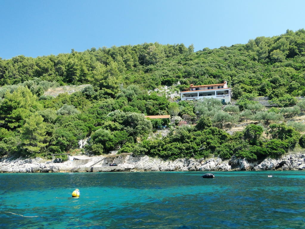 Apartament Winery Bačić Blato  Zewnętrze zdjęcie